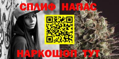 ешки Новокубанск